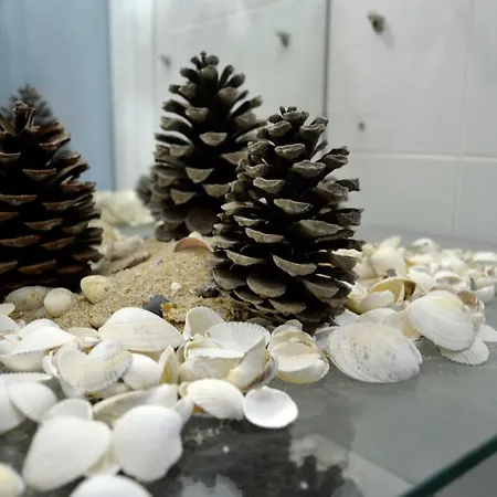 Konukevi O Fogar De Teodomiro